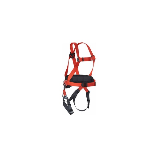 [AP-1831000-4B] AP- HARNAIS-KIT-II Harnais avec ceinture - AlphaProtec